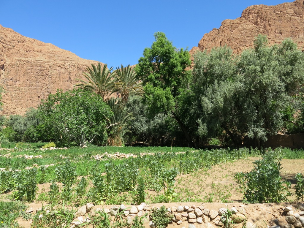 Berber village 